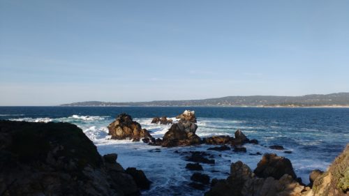 Point Lobos