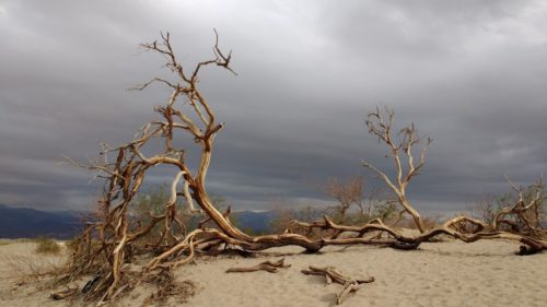 Mesquite Flat Sand Dunes