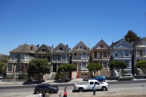 Painted Ladies